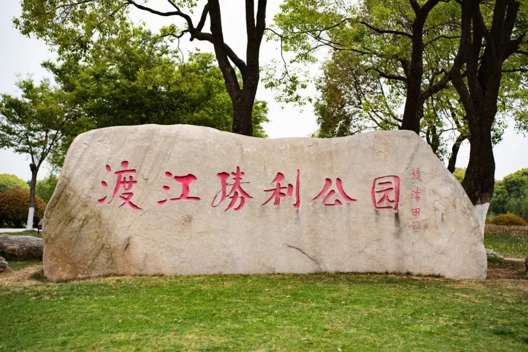 DSC06951.jpg